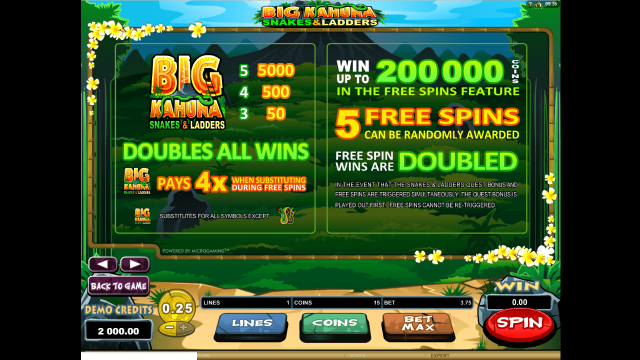 Big Kahuna Snakes And Ladders 3
