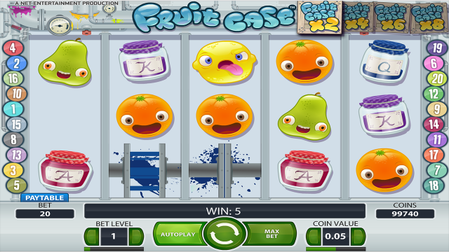 Fruit Case 3